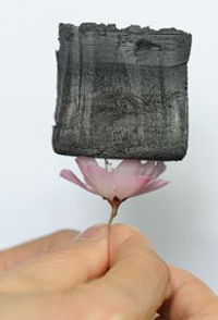 Lightweight graphene-based material sitting on top of a delicate flower.